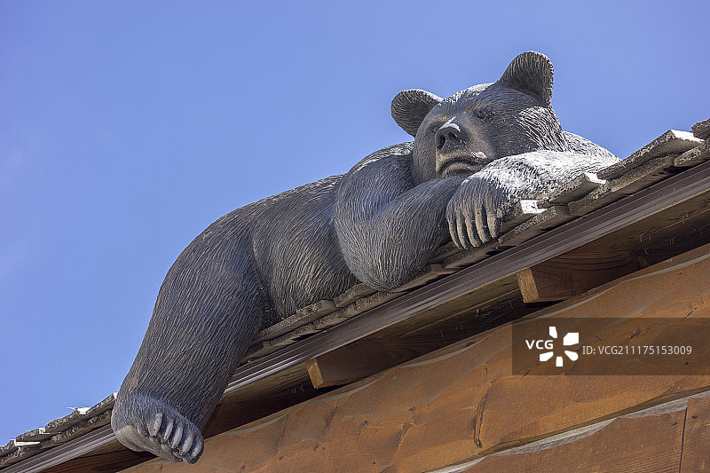 美国怀俄明州阿夫顿的商店里的熊雕像图片素材