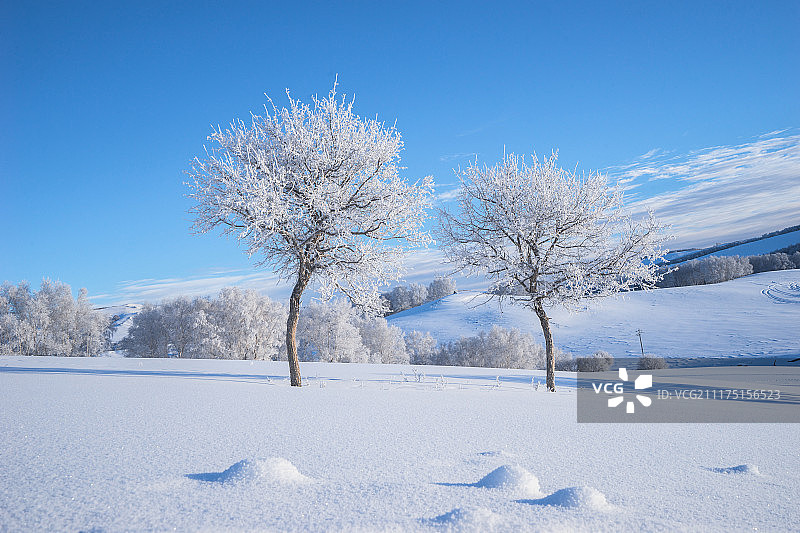 雪地上的雾凇图片素材