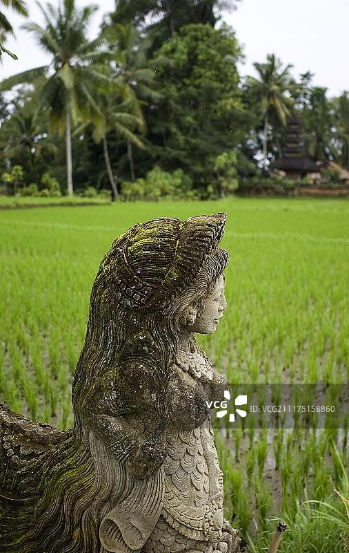 努沙杜瓦稻田前的寺庙雕像，巴厘岛，印度尼西亚，亚洲图片素材