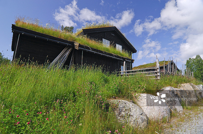 挪威奥普兰郡高斯达尔的屋顶草坪度假屋图片素材