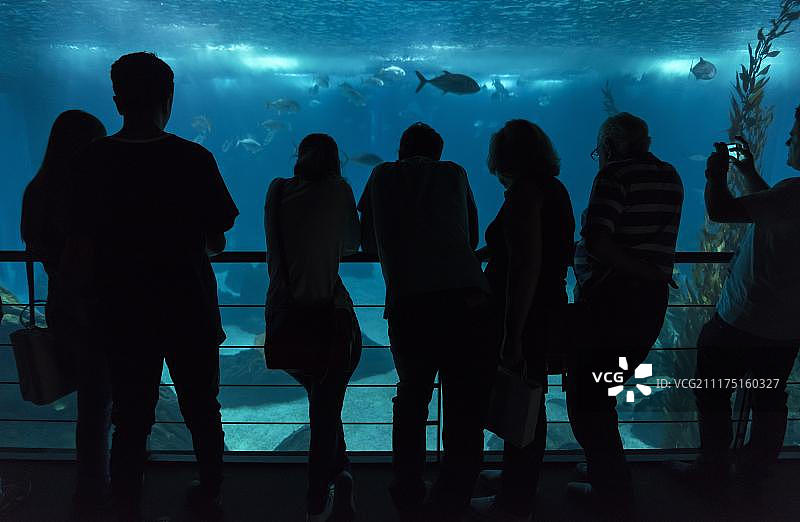 葡萄牙里斯本海洋馆内的人们图片素材