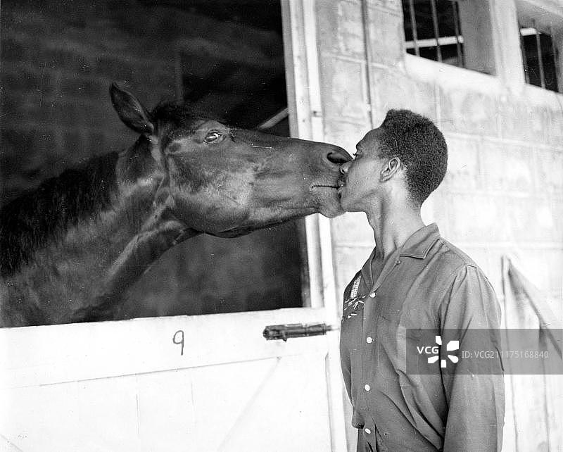 在墨西哥墨西哥城，男人亲吻马图片素材