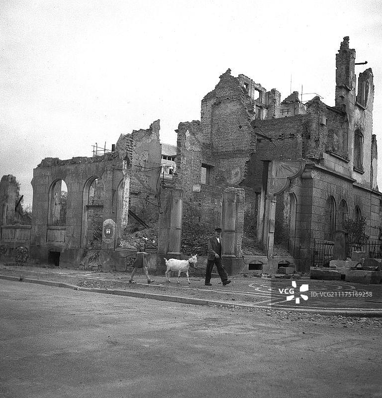 1945年后，男人和女孩在弗莱堡被毁坏的建筑物旁与山羊同行图片素材