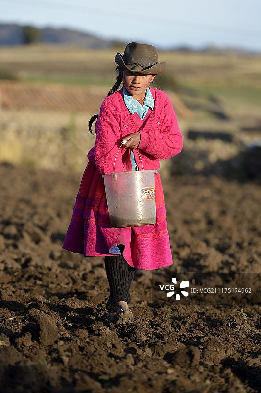 在田野里播种的12岁女孩，秘鲁阿亚库乔图片素材