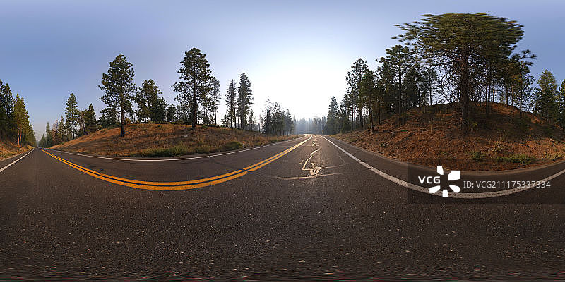 美国的沥青公路和松树林360度全景高清图图片素材