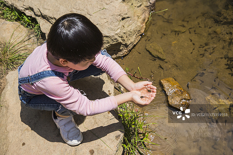 可爱的小男孩和女孩一起收获，园艺种植概念图片素材
