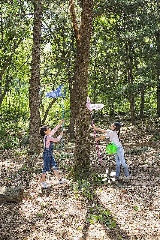 可爱的小男孩和女孩一起收割，园艺种植概念照片197图片素材