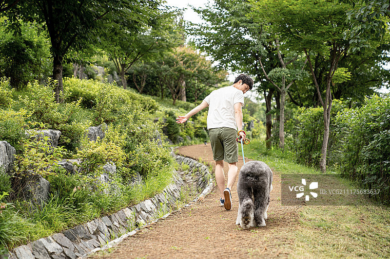 狗的户外生活图片素材