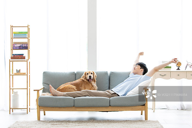 男人、客厅、沙发、躺卧（身体姿势）、金毛寻回犬、宠物（长动物）、单身生活图片素材