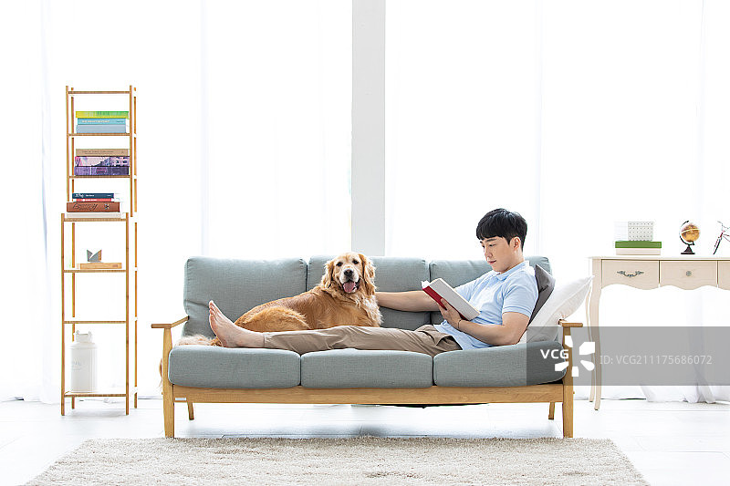 男人在客厅沙发上休息，金毛犬陪伴，单身生活图片素材