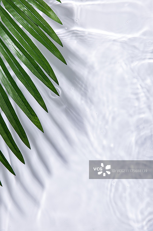 水（自然现象）、游泳池、波浪、夏季、季节图片素材