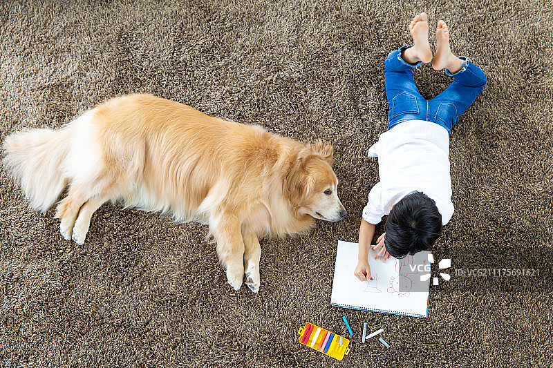 儿童、宠物、狗、金毛寻回犬、俯视角度、速写本（艺术工具）图片素材