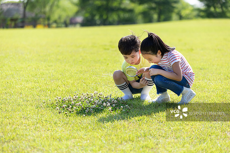 小朋友草地用放大镜观察图片素材