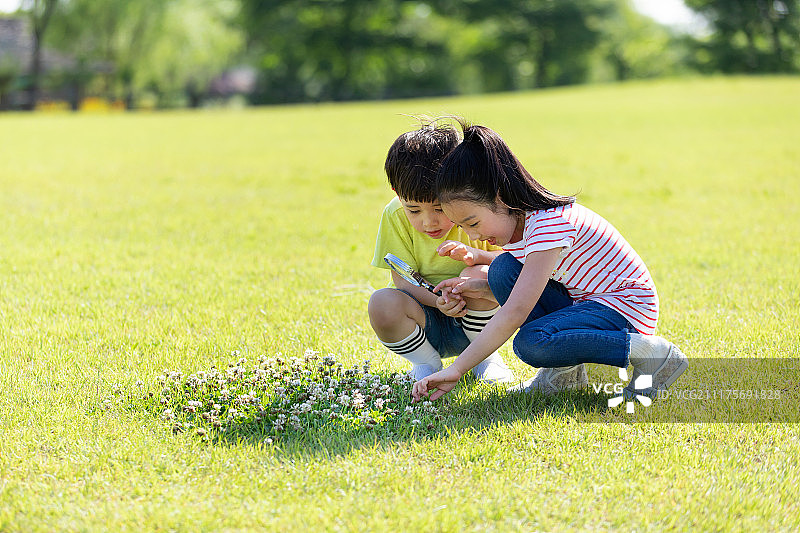 小朋友草地用放大镜观察图片素材