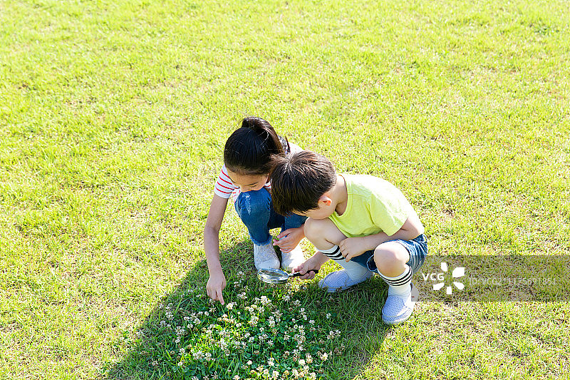 小朋友草地用放大镜观察图片素材