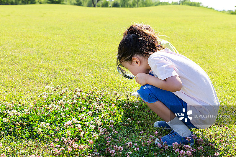 小朋友草地用放大镜观察图片素材