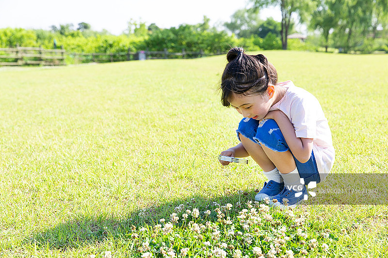 小朋友草地用放大镜观察图片素材