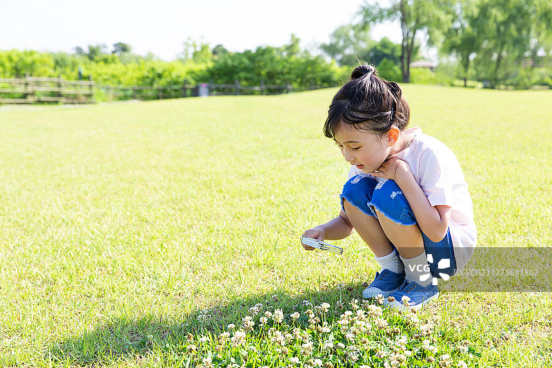 小朋友草地用放大镜观察图片素材
