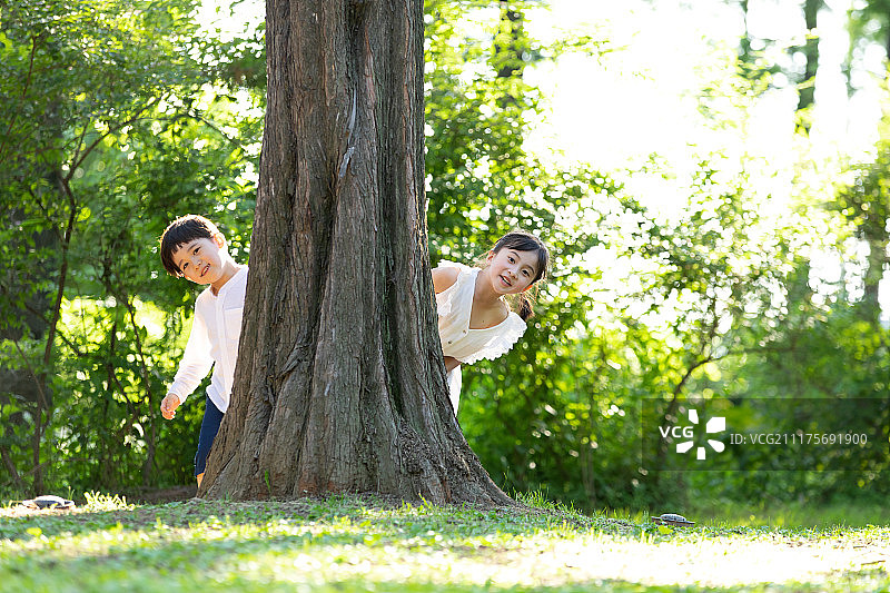 孩子们在树林里玩捉迷藏图片素材