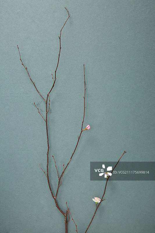 顶角拍摄下的韩国传统文化松糕美食图片素材