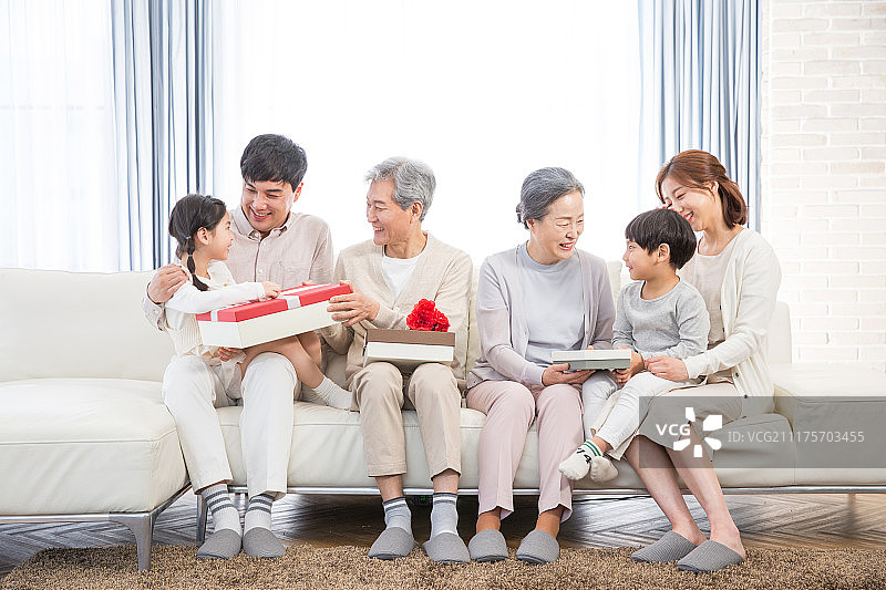 家庭团聚 礼物康乃馨 节日笑容图片素材