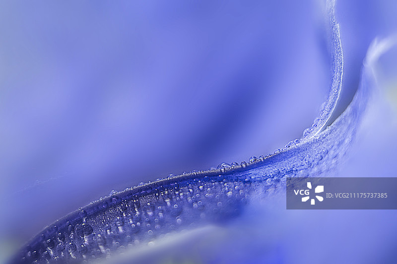 抽象的露水图片素材