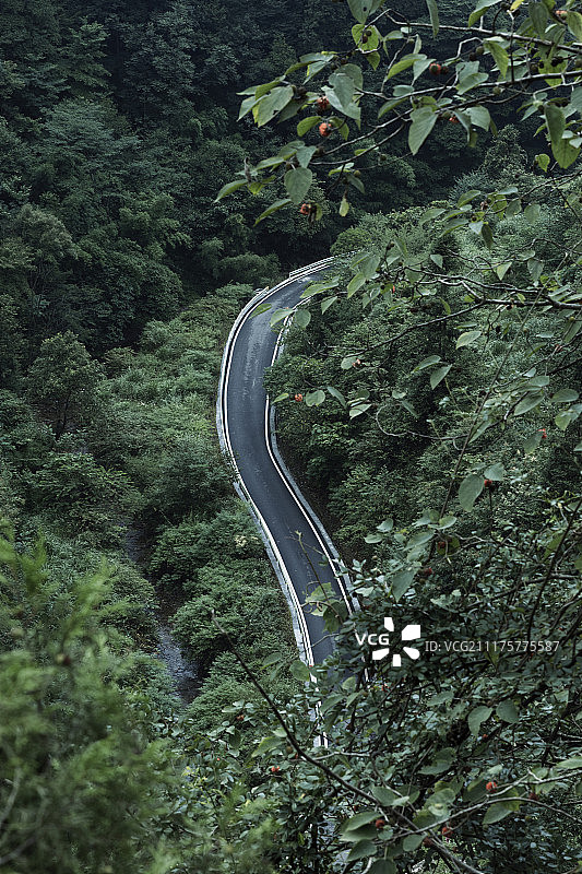 鸟瞰森林中的公路图片素材