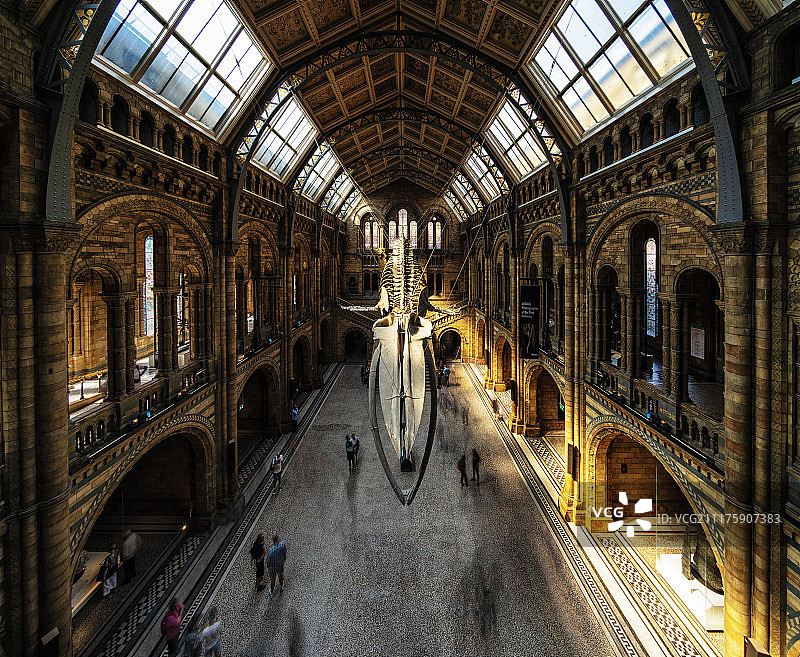 英国自然历史博物馆图片素材