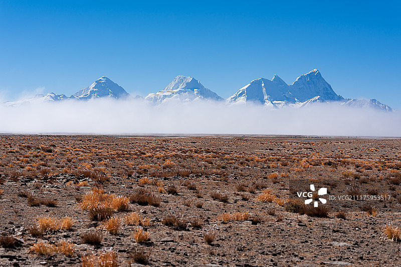 西藏多庆措后面的雪山图片素材