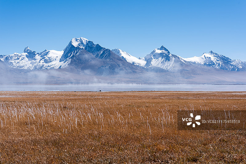 西藏多庆措后面的雪山图片素材