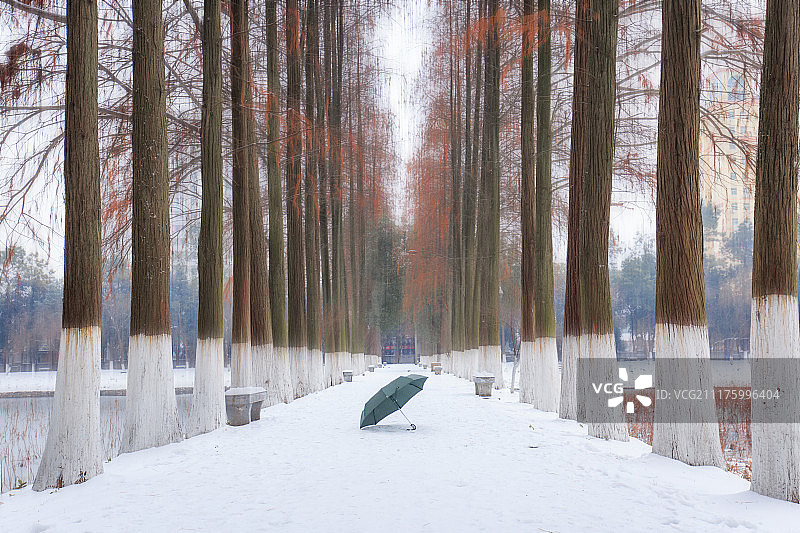 校园雪景图片素材