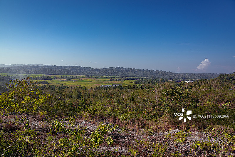 吉尔蒙蒂利亚稻田图片素材