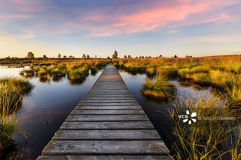 高沼地徒步图片素材