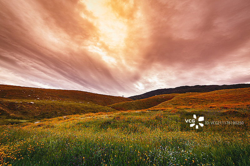 爱之山图片素材