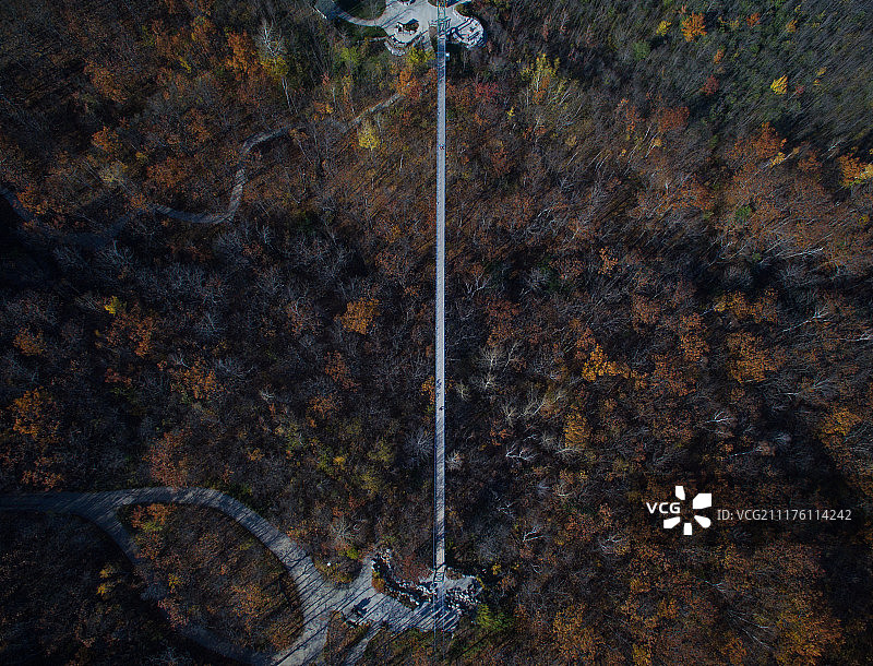 科林伍德的周末图片素材