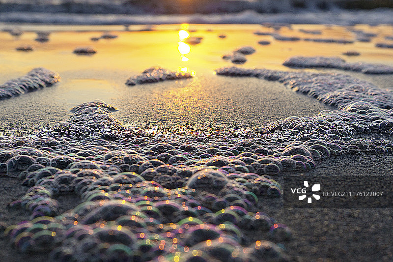 棕榈岛上的日出图片素材