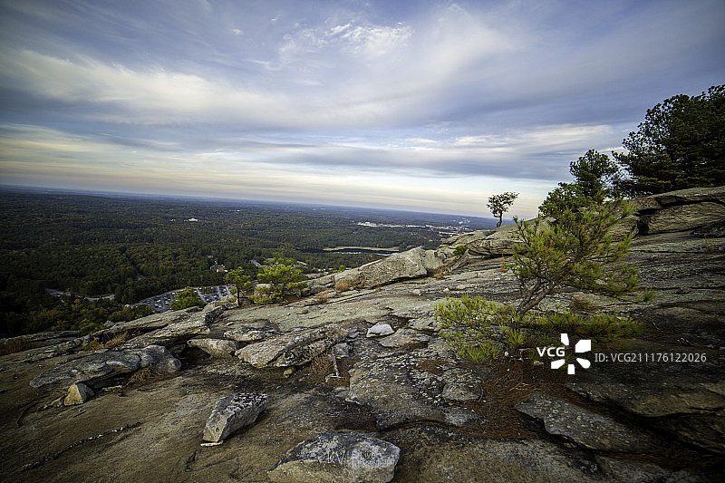 林地上空多云的天空图片素材