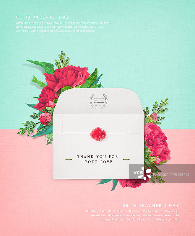 五月，家庭月，康乃馨图片素材