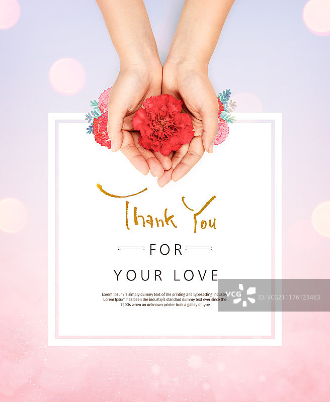 五月，家庭月，康乃馨图片素材