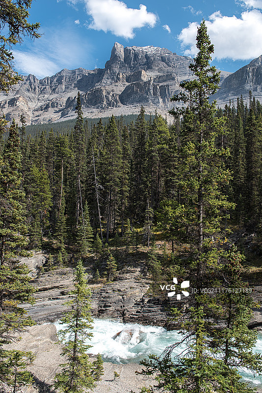 岩石河流与河岸树木、后方山脉景观图片素材