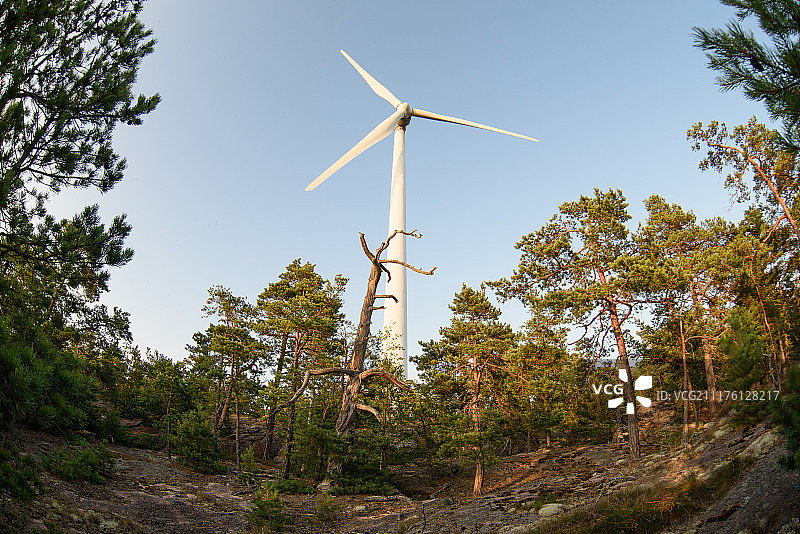 森林中的风力涡轮机图片素材