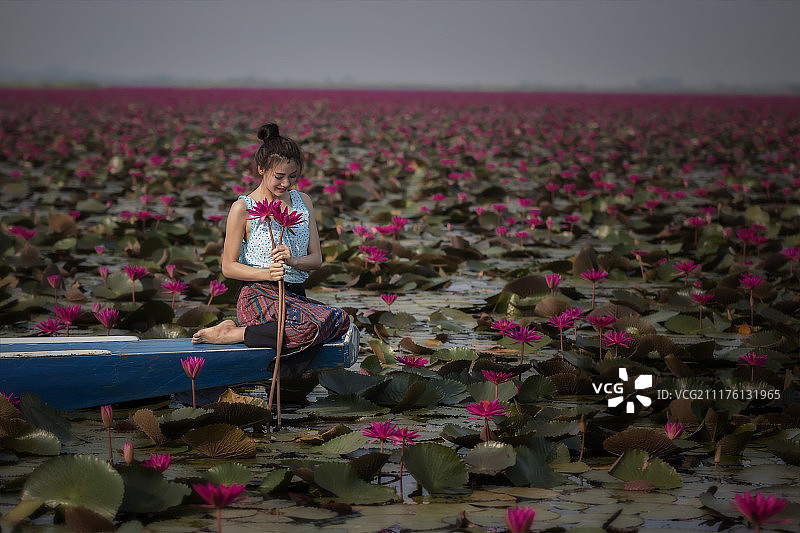 粉红色的荷花图片素材