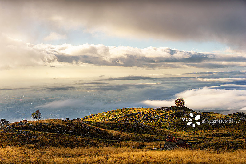 不确定的早晨图片素材
