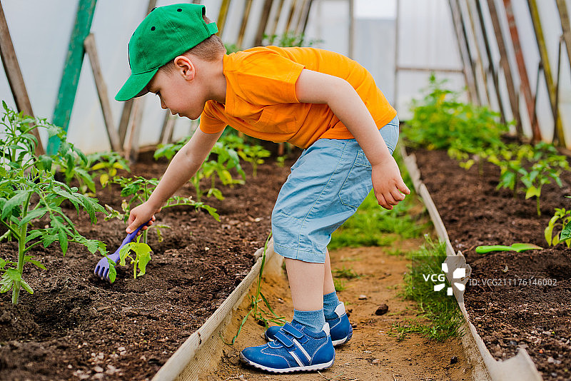 花园里的儿童图片素材