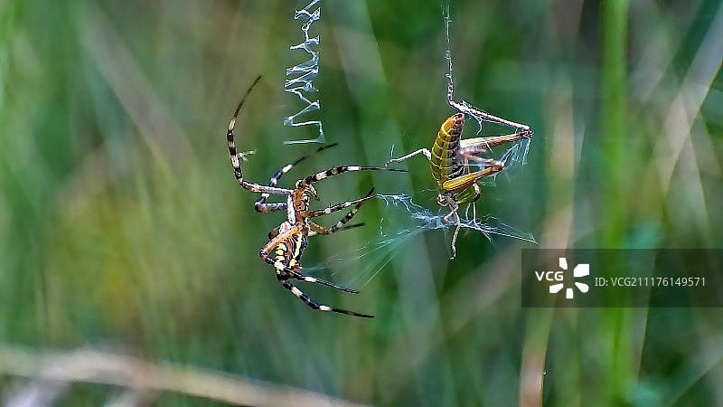 先包裹再绘画图片素材