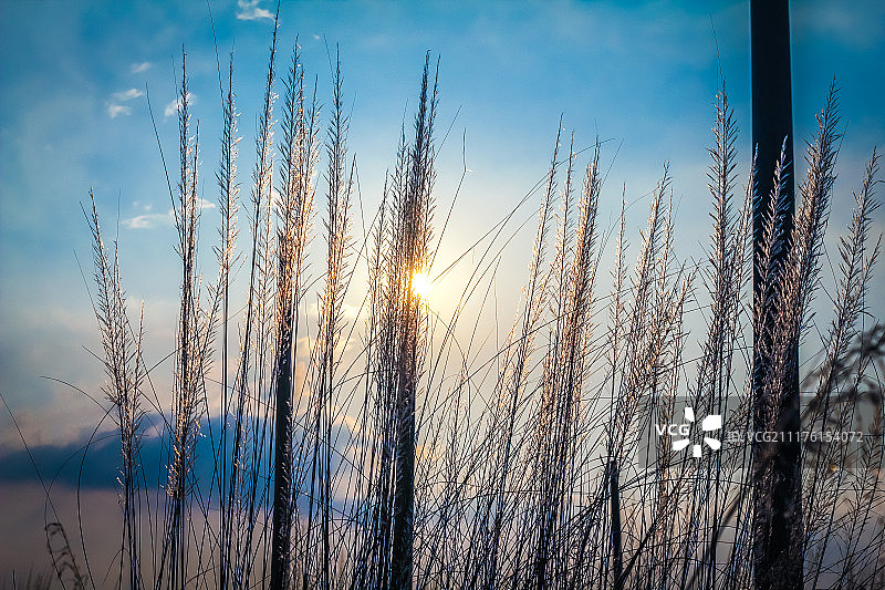 金色时分：蓝色与金色图片素材