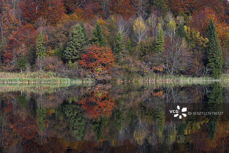 色彩爆炸图片素材
