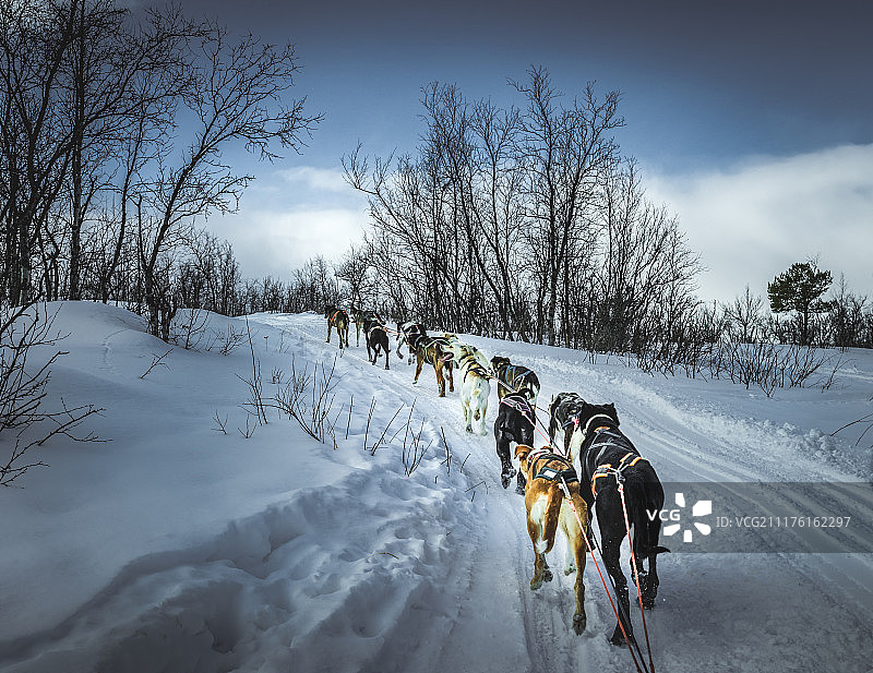 瑞典阿比斯库的雪地骑行图片素材