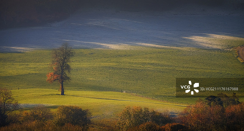 孤独的图片素材