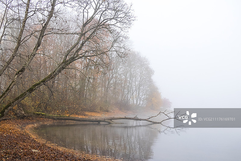 多雾的图片素材